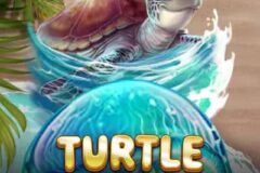 Turtle Paradise