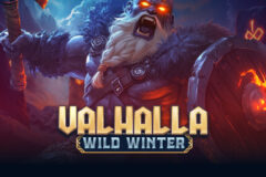 Valhalla Wild Winter
