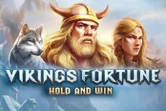 Vikings Fortune Hold and Win