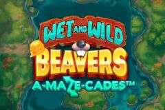 Wet and Wild Beavers