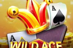 Wild Ace