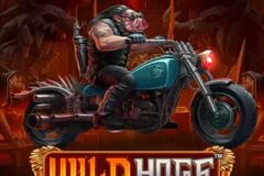 Wild Hogs