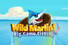 Wild Marlin! – Big Game Fishing