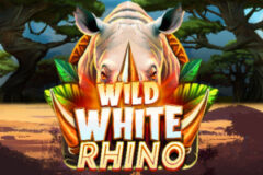 Wild White Rhino