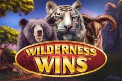 Wilderness Wins
